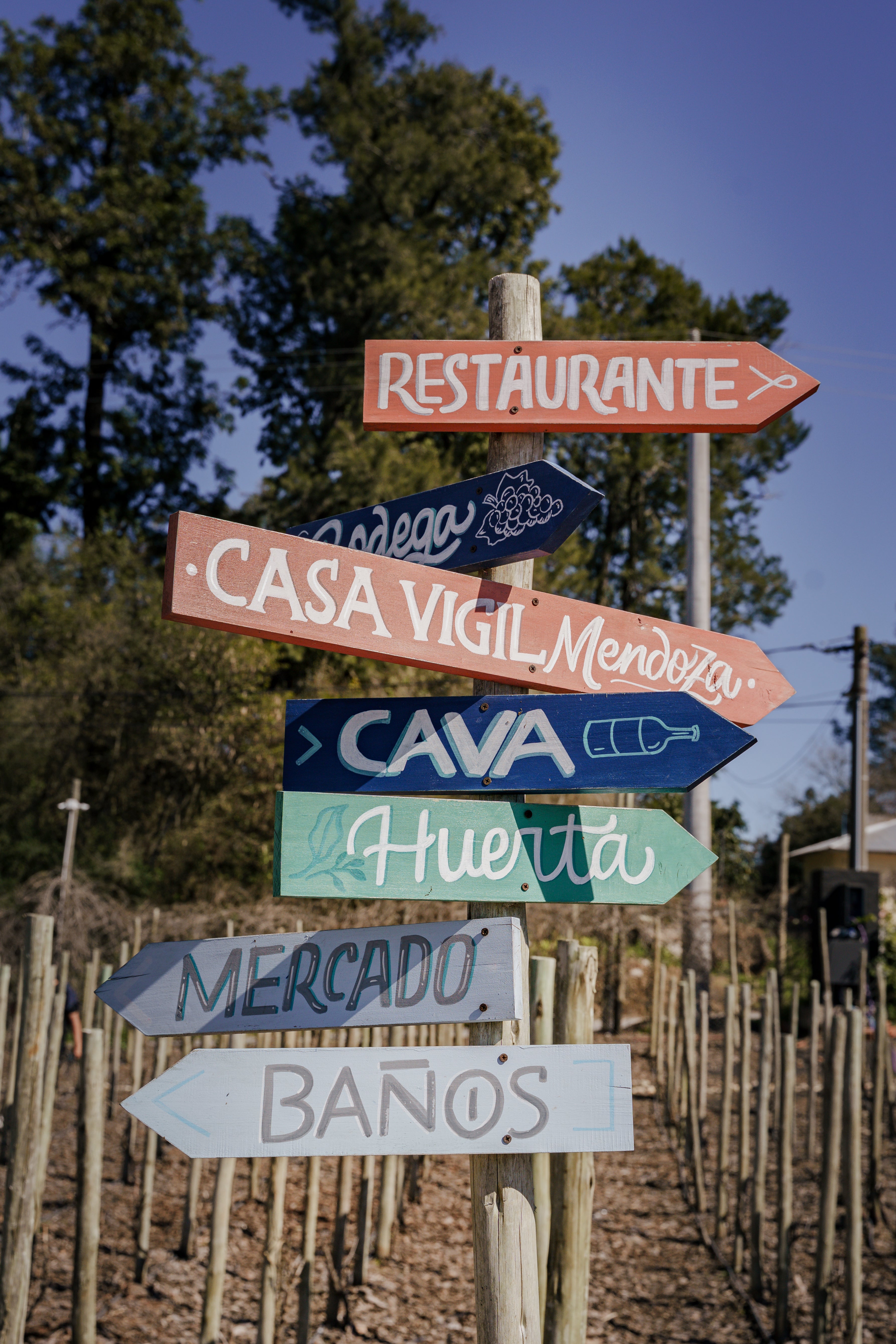 Vineyard in Buenos Aires, Enjoy delicious wine and food