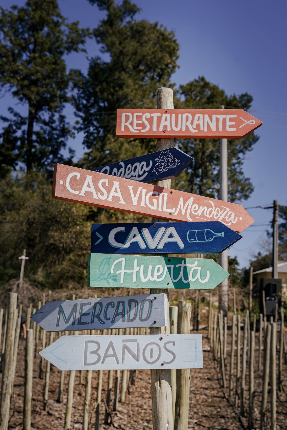 Vineyard in Buenos Aires, Enjoy delicious wine and food