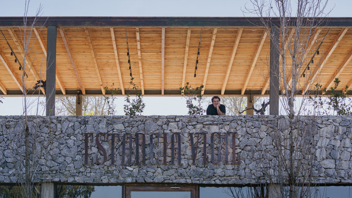 Vineyard in Buenos Aires, Enjoy delicious wine and food