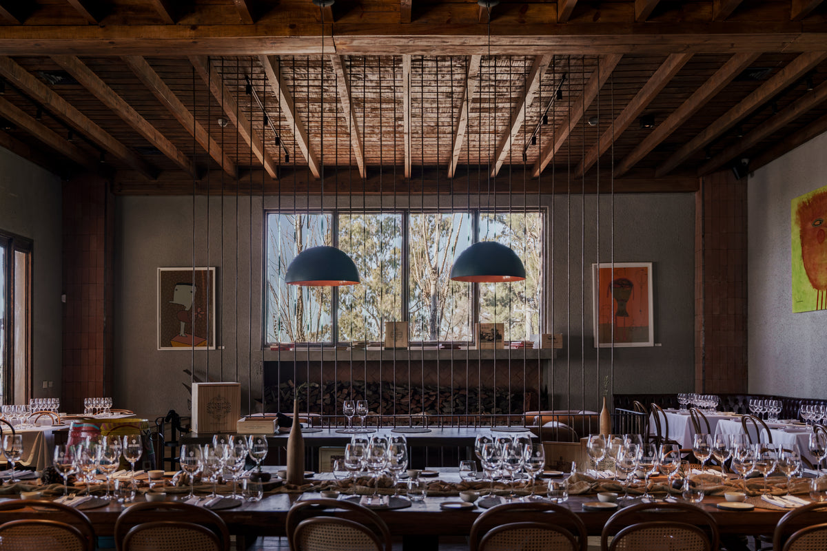 Vineyard in Buenos Aires, Enjoy delicious wine and food