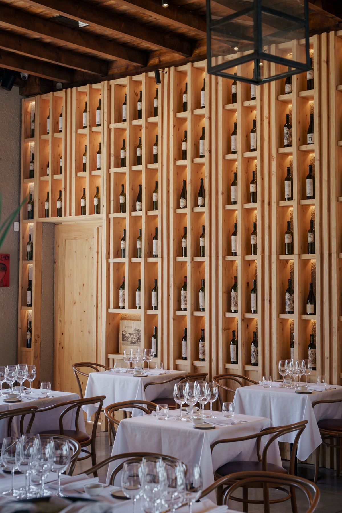 Vineyard in Buenos Aires, Enjoy delicious wine and food