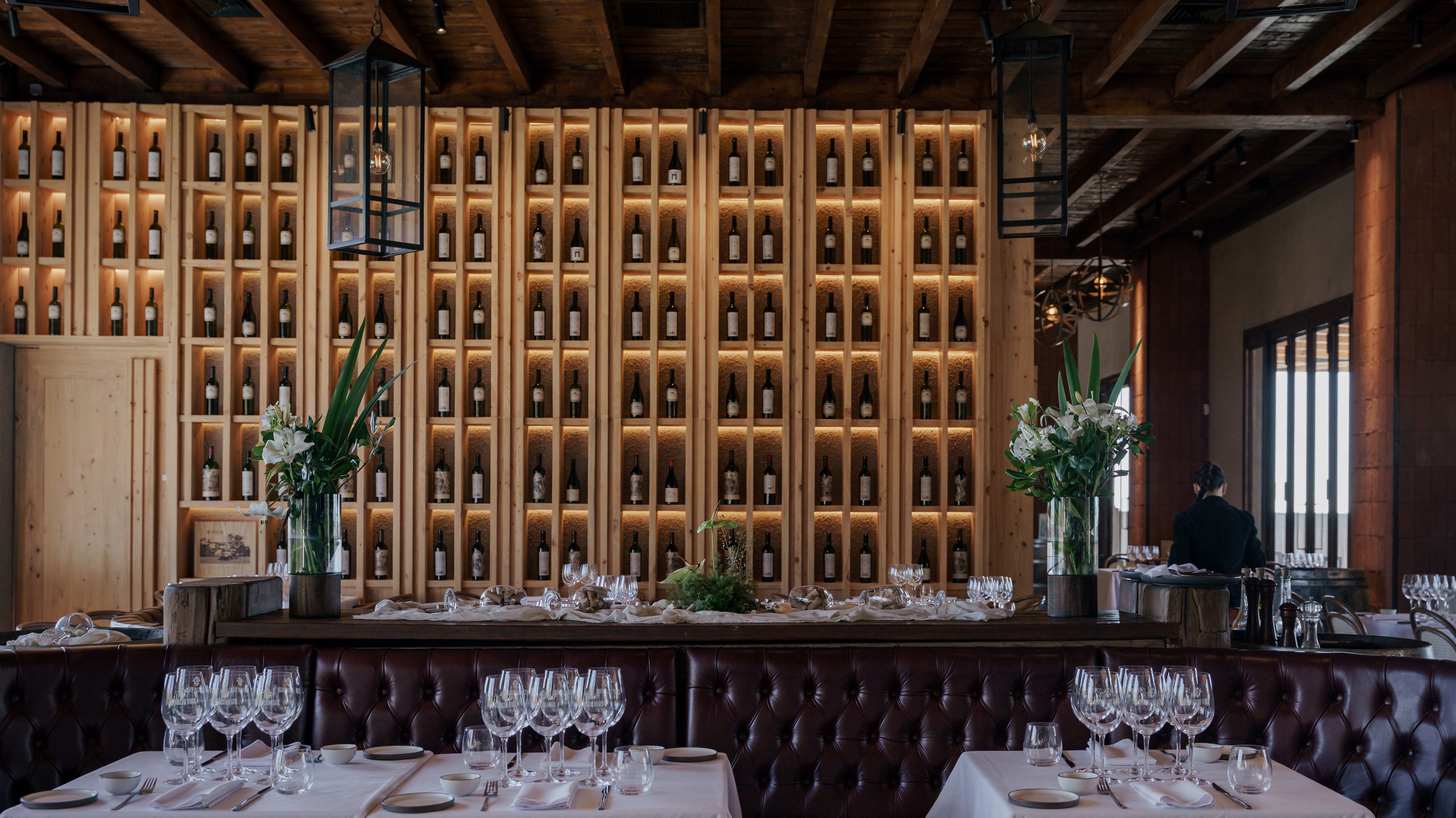 Vineyard in Buenos Aires, Enjoy delicious wine and food