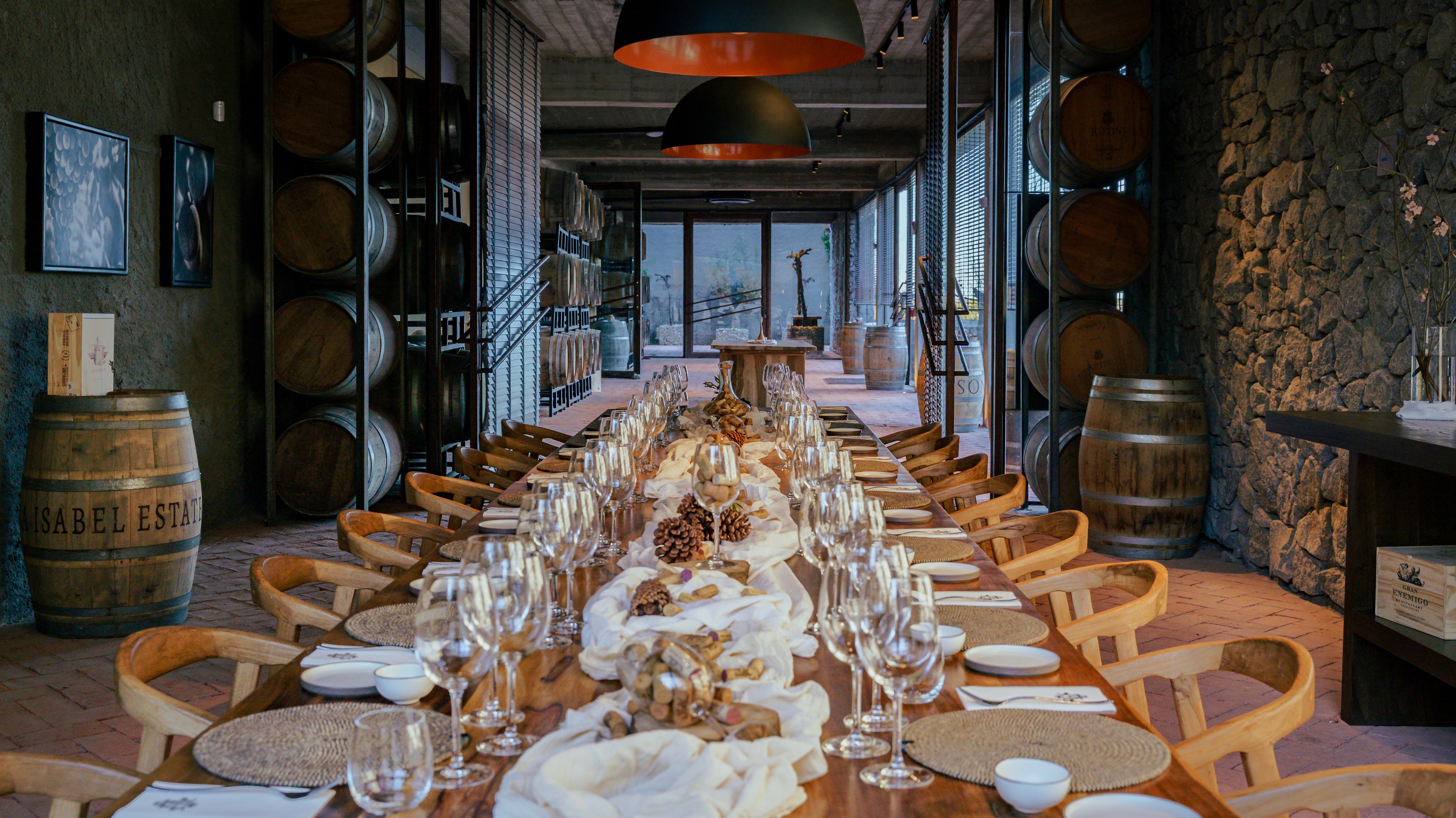 Vineyard in Buenos Aires, Enjoy delicious wine and food