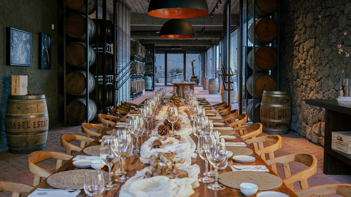 Vineyard in Buenos Aires, Enjoy delicious wine and food