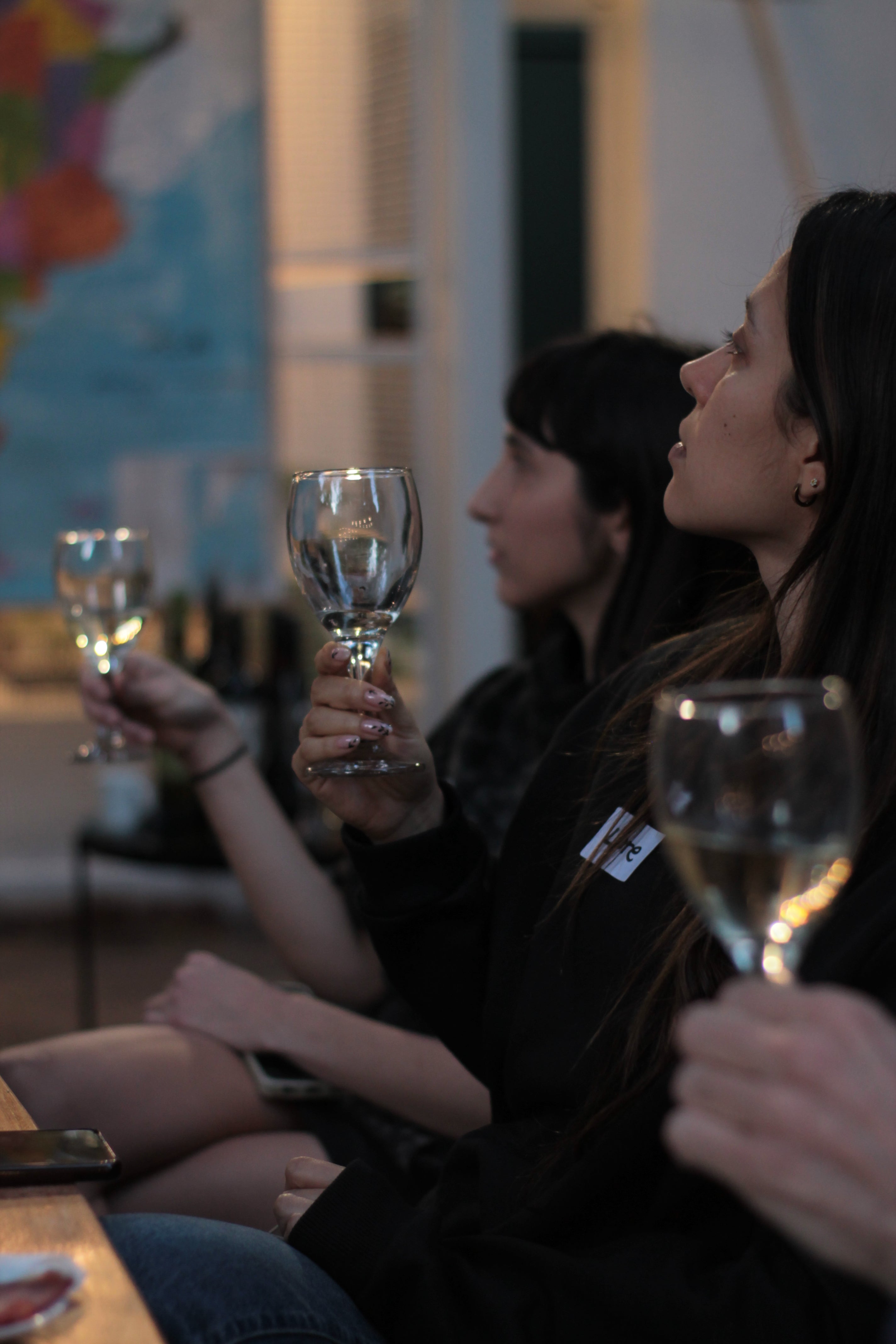 Premium Wine Tasting with Lunch or Tapas