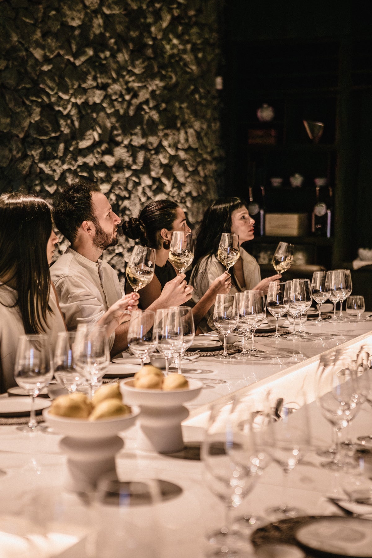 Vineyard in Buenos Aires, Enjoy delicious wine and food