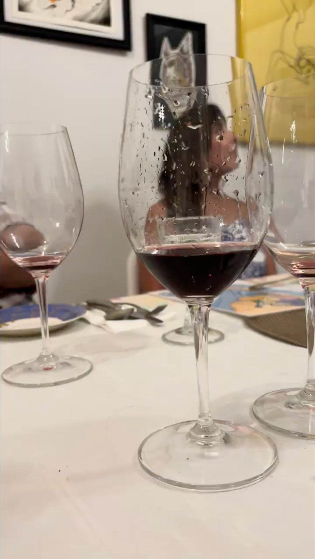 Degustação de vinhos premium com almoço ou tapas.