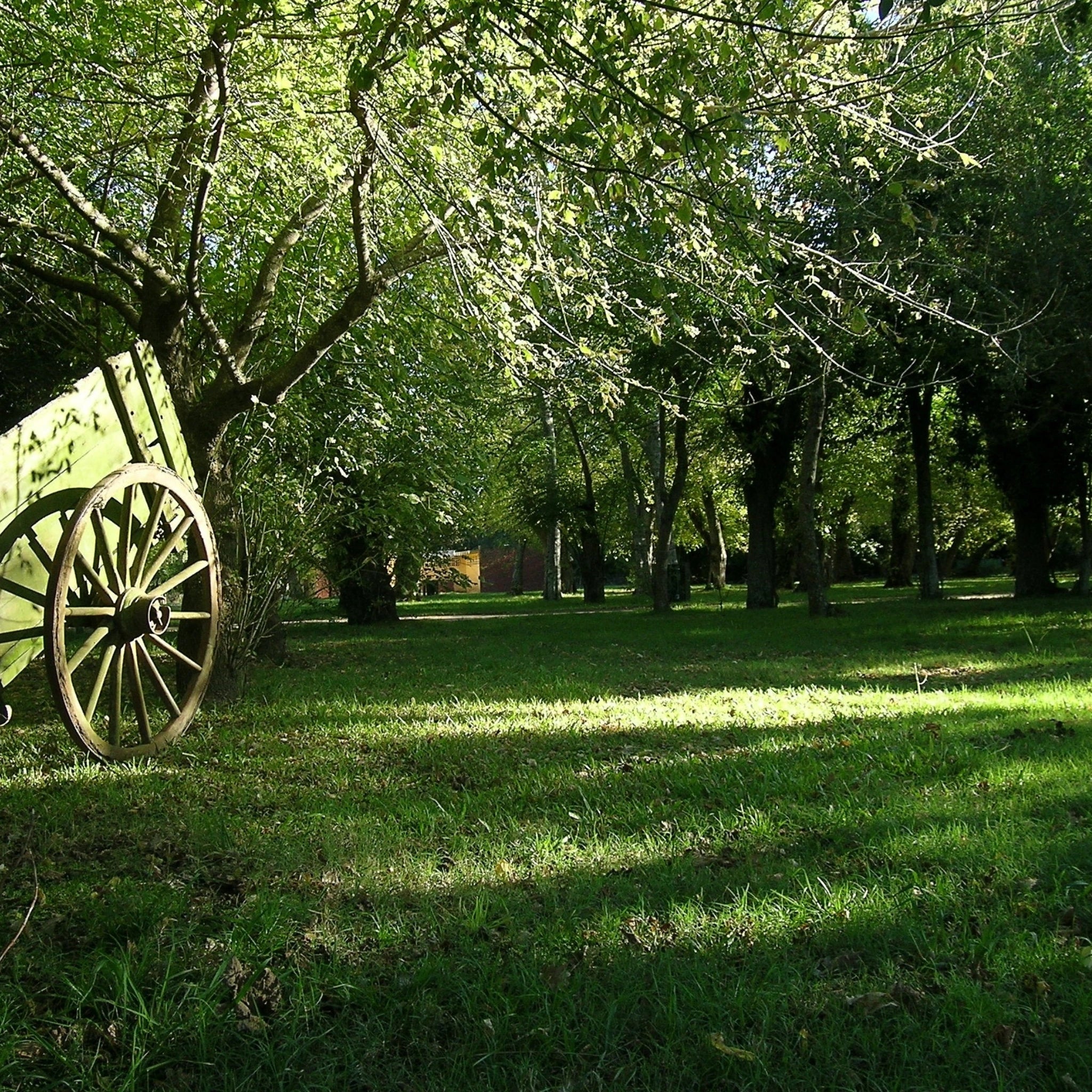 Dia de Estancia Experiência de Campo
