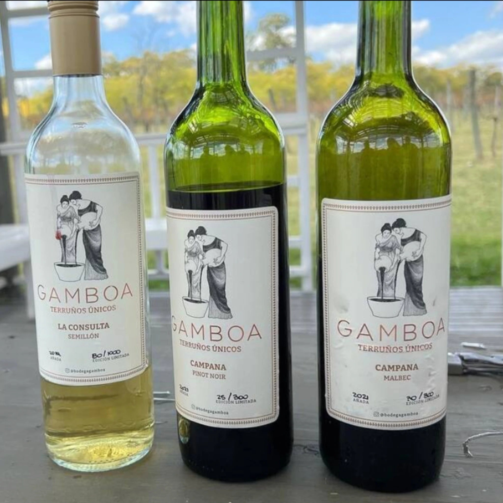 Vinhedo em Buenos Aires, desfrute de deliciosos vinhos e comidas