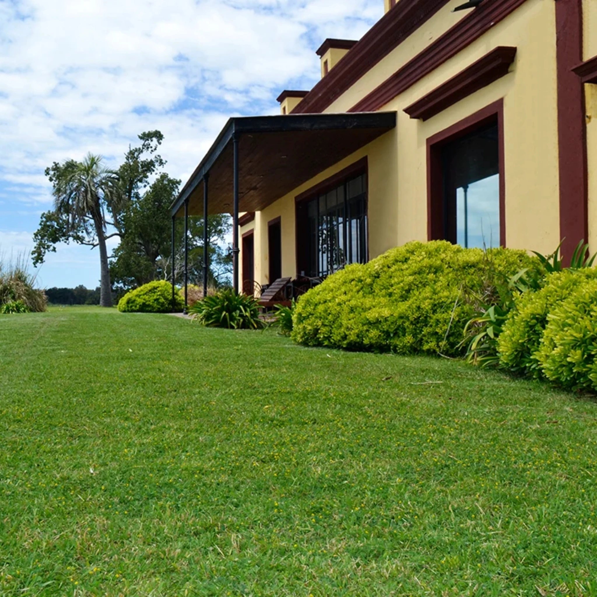 Dia de Estancia Experiência de Campo