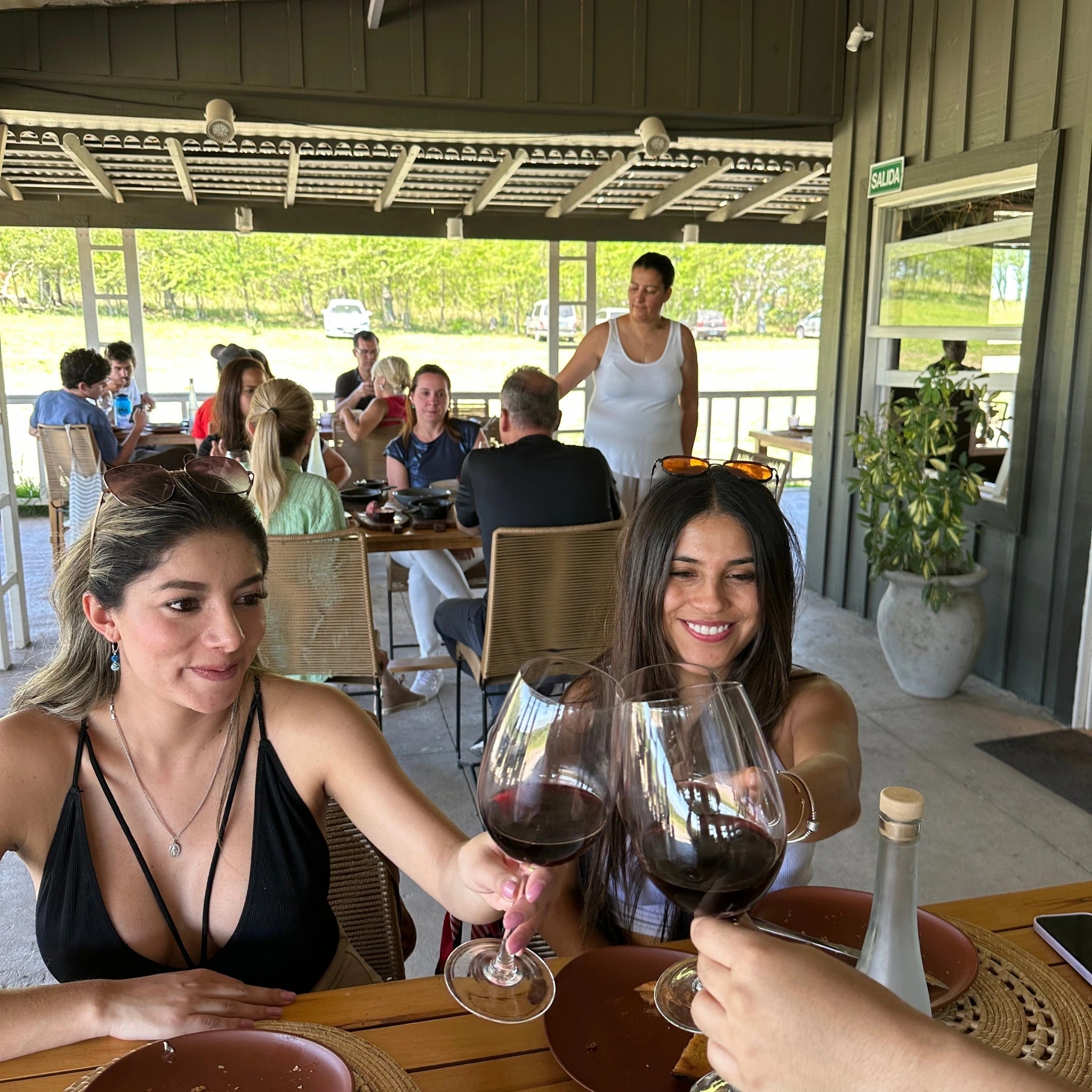 Vinhedo em Buenos Aires, desfrute de deliciosos vinhos e comidas
