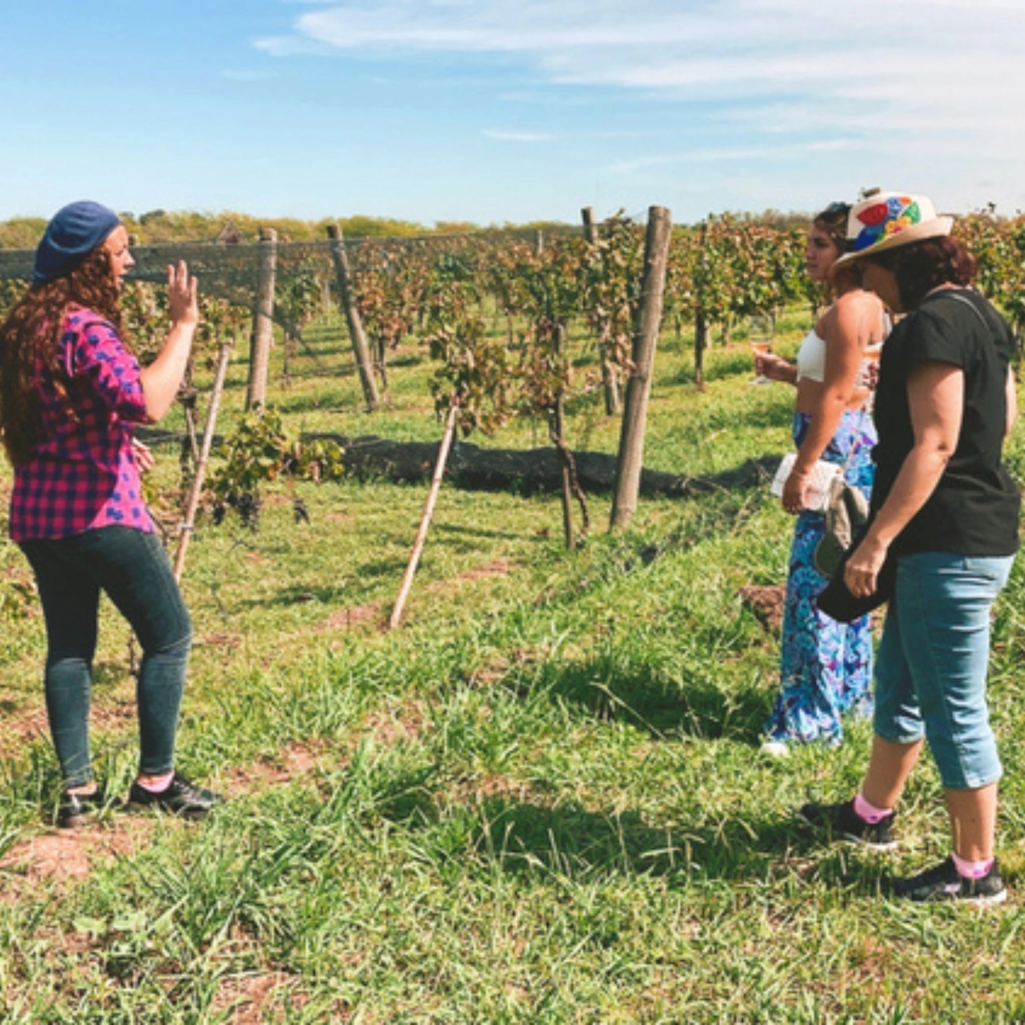 Vinhedo em Buenos Aires, desfrute de deliciosos vinhos e comidas