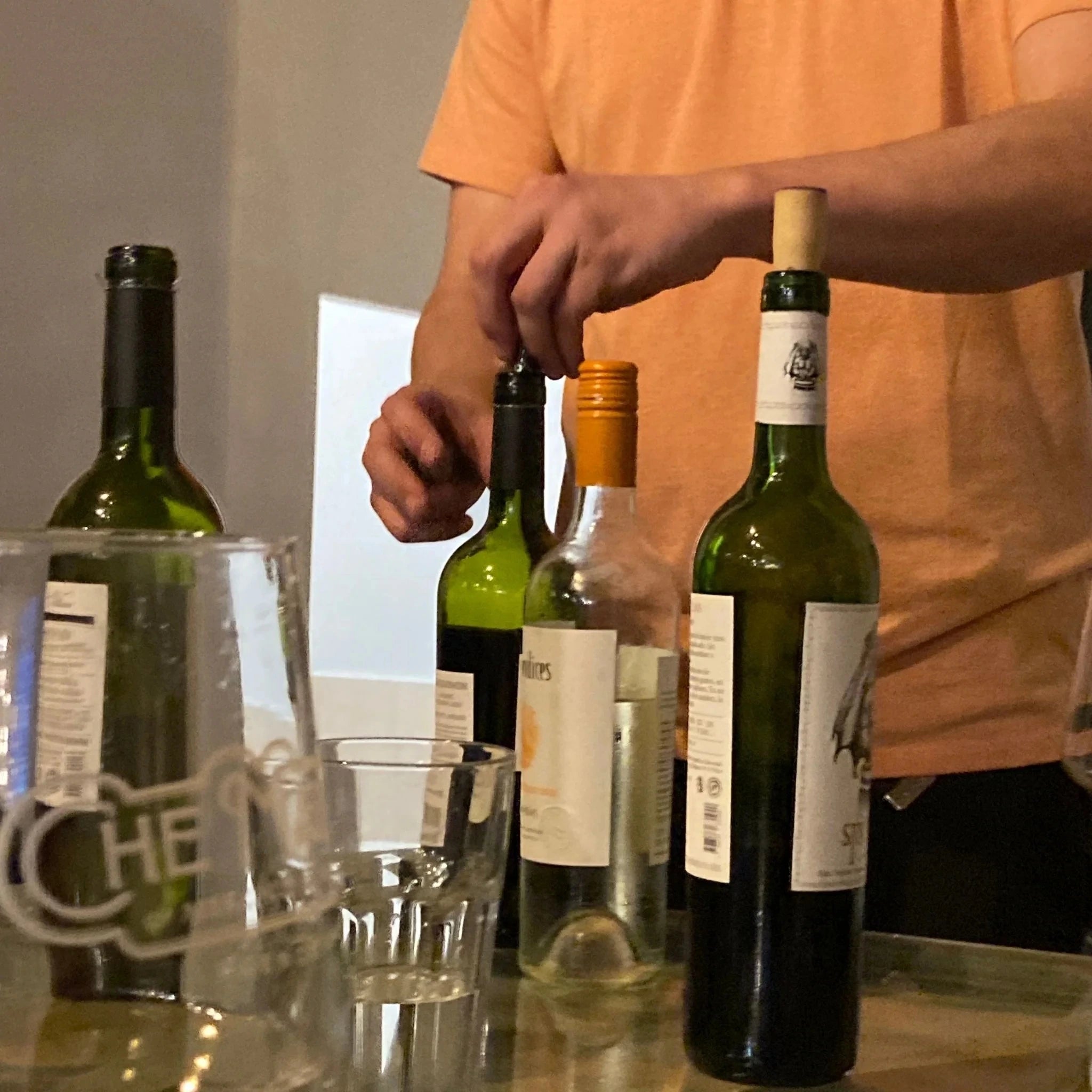 Introdução à cultura do vinho em Buenos Aires