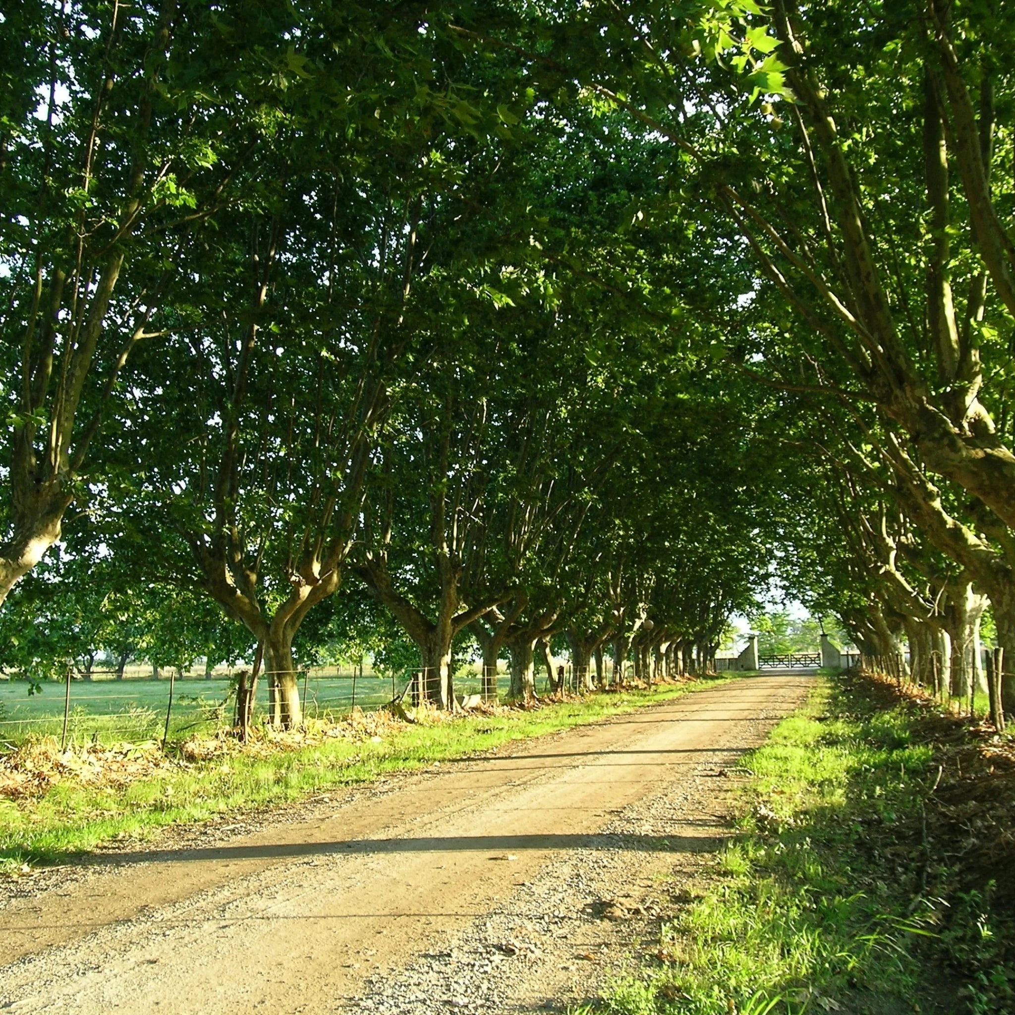Dia de Estancia Experiência de Campo