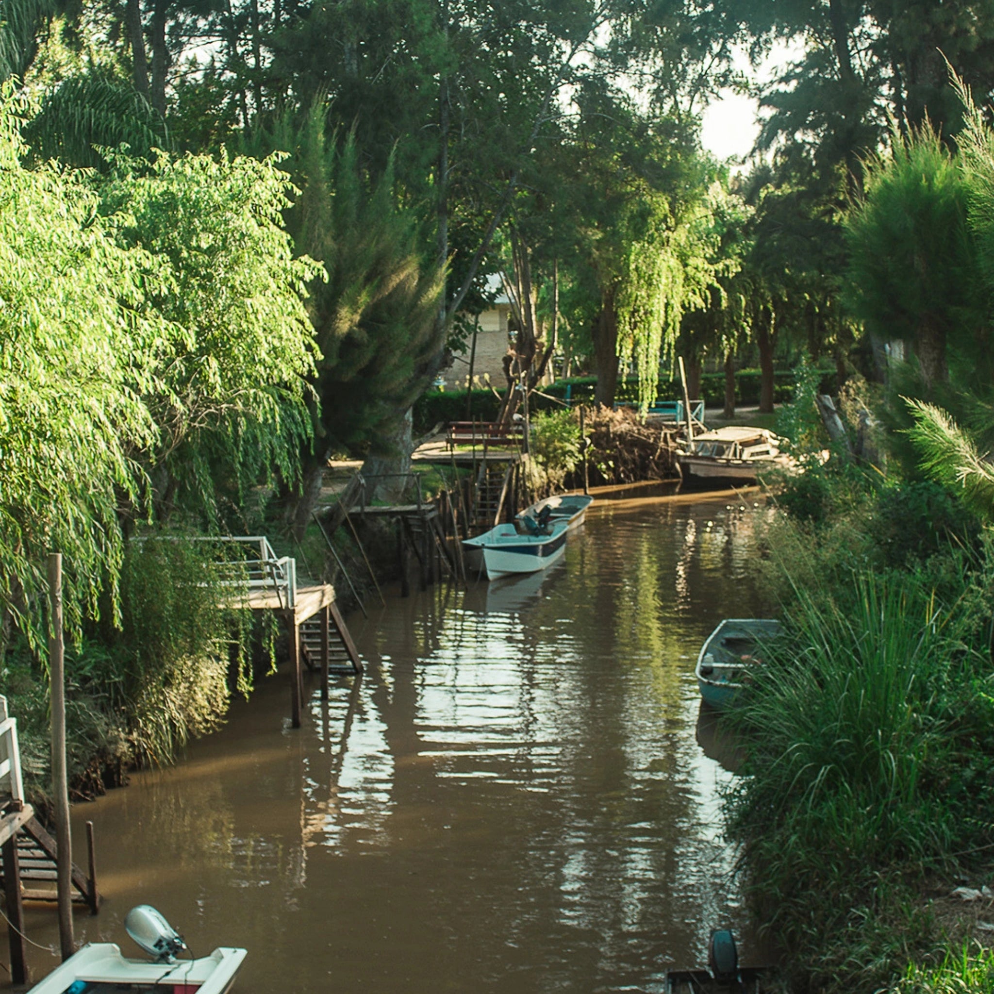 Aventura no Delta do Tigre