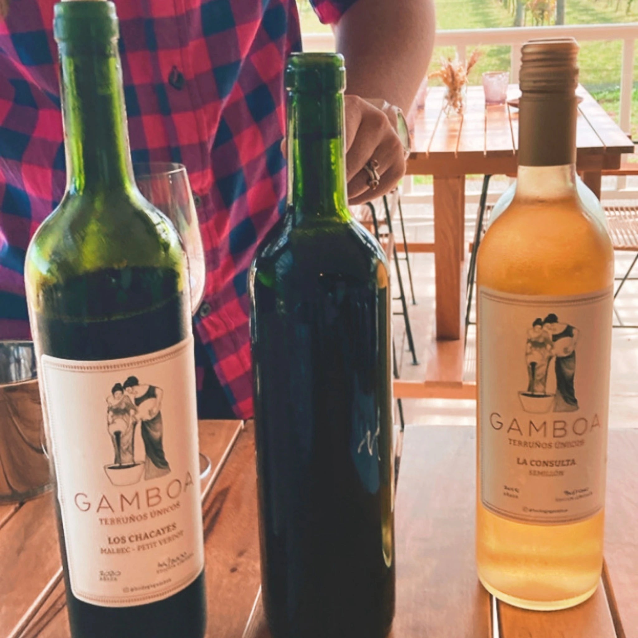 Vinhedo em Buenos Aires, desfrute de deliciosos vinhos e comidas