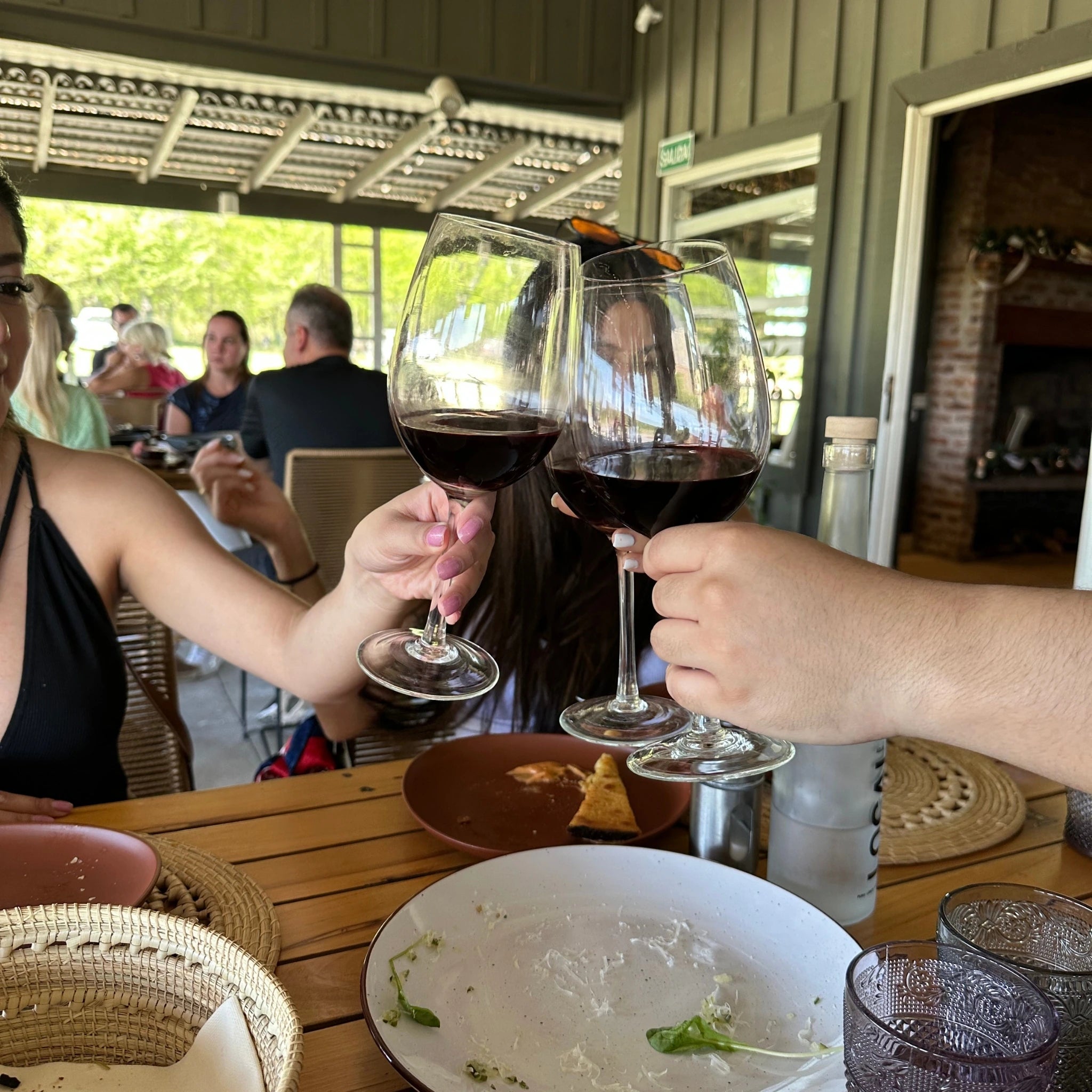 Vinhedo em Buenos Aires, desfrute de deliciosos vinhos e comidas