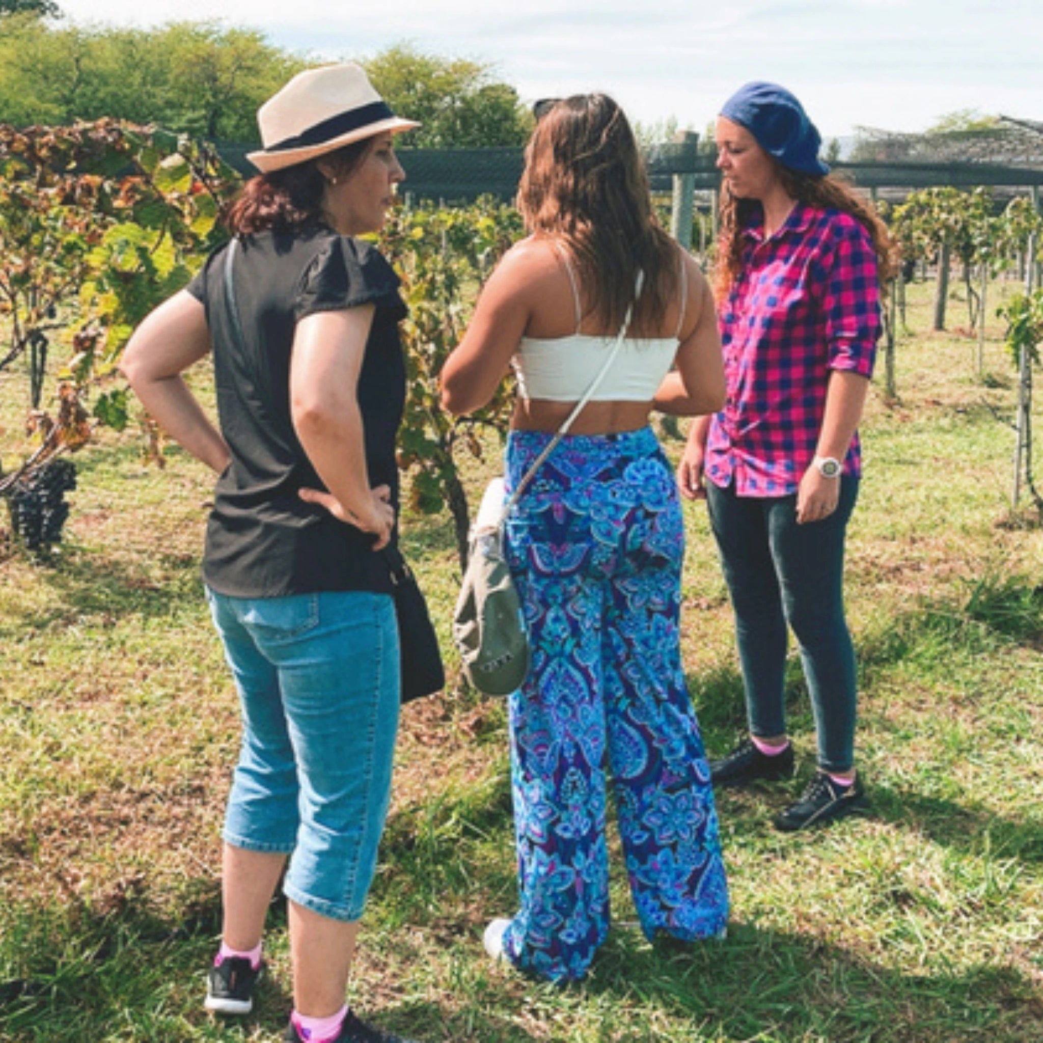 Vinhedo em Buenos Aires, desfrute de deliciosos vinhos e comidas