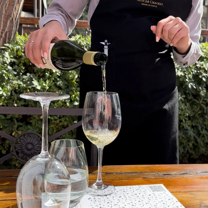Excursão de meio dia com vinhos e azeitonas – Maipú e Luján de Cuyo