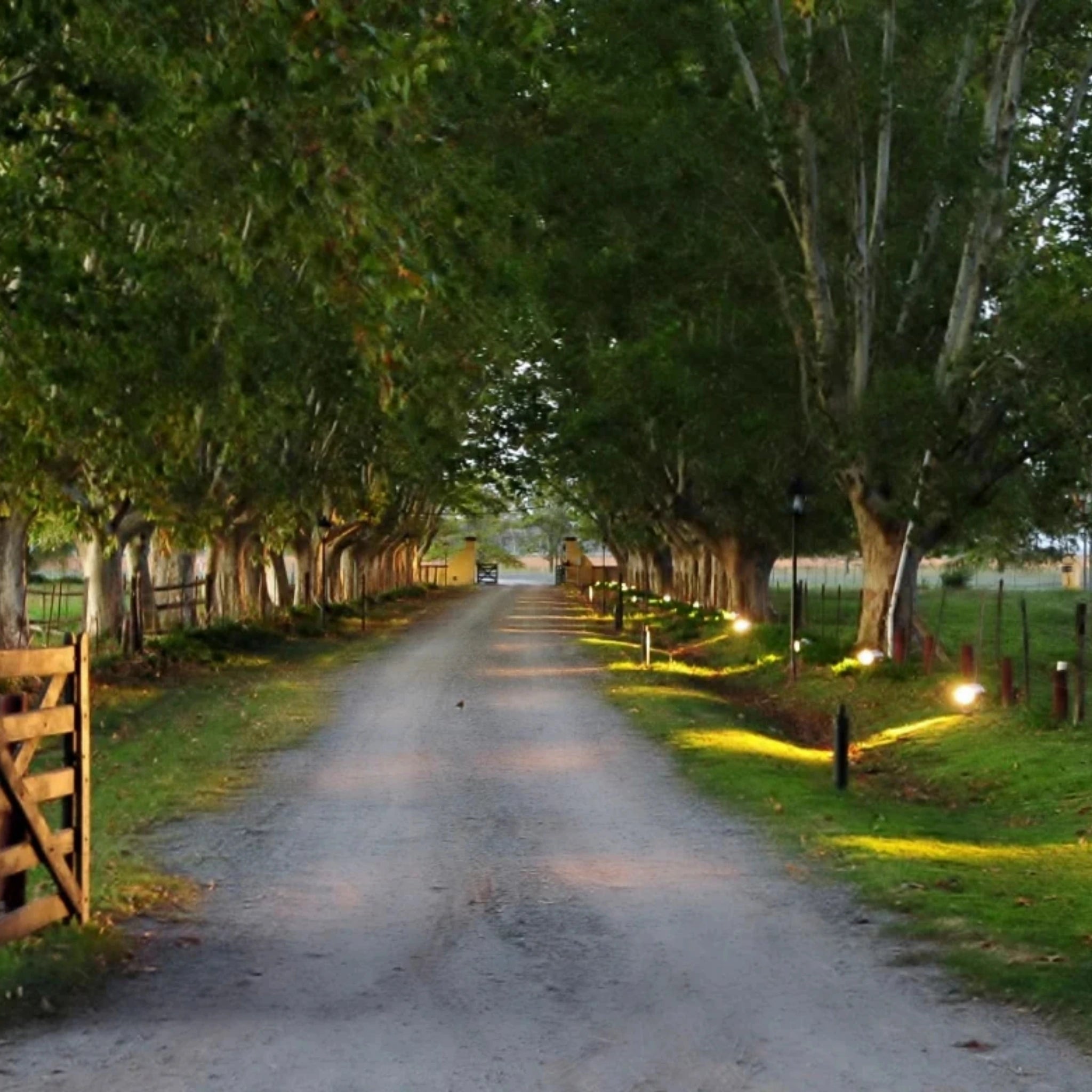 Dia de Estancia Experiência de Campo