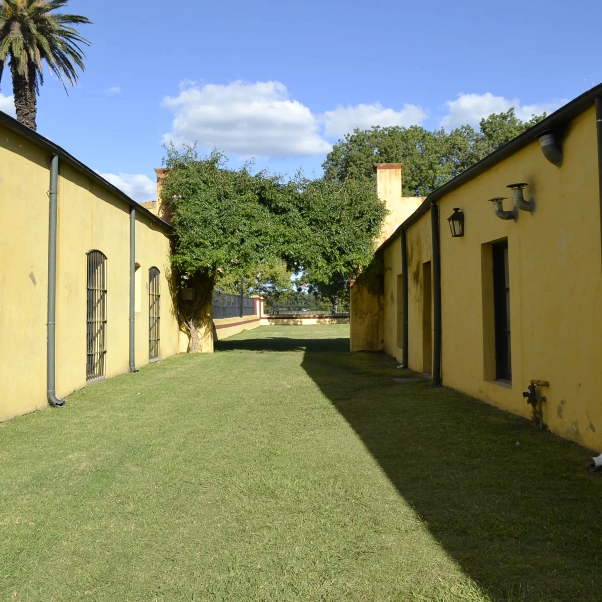 Dia de Estancia Experiência de Campo