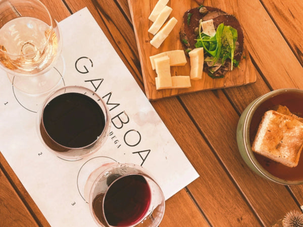 Vineyard in Buenos Aires, Enjoy delicious wine and food