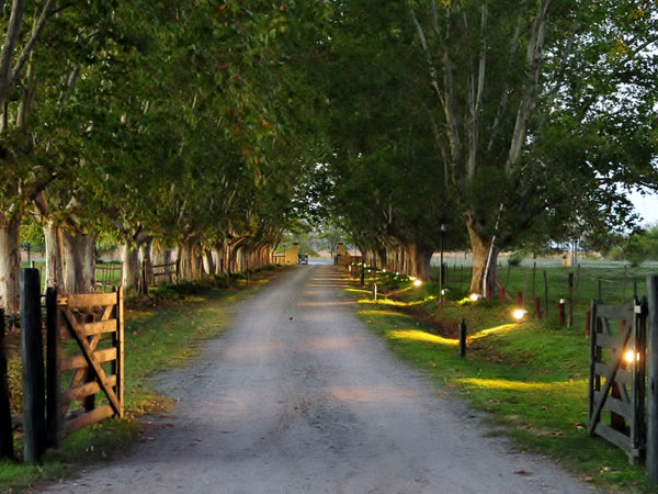 Experiencia de Campo de Día en Estancia